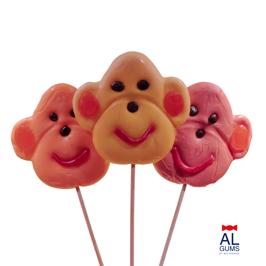 [HFS04257] LOLLY AAP 17 X 100 g
